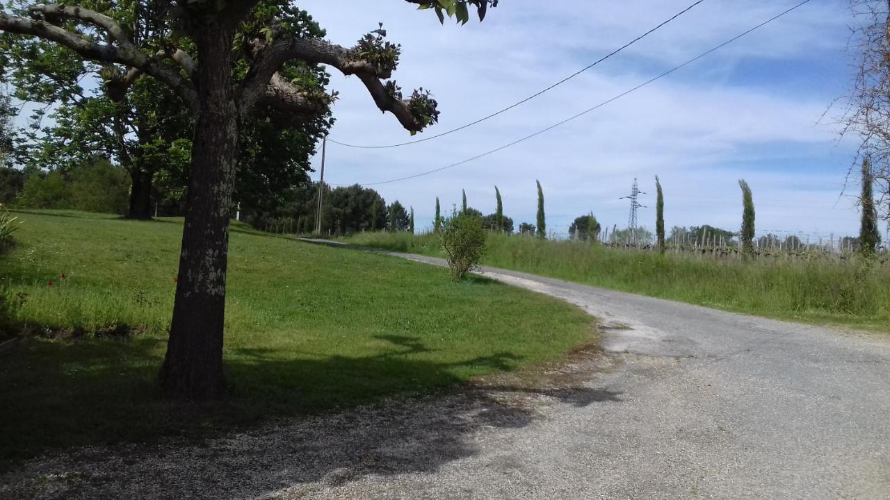 Gite Lieu Dit Gautier Civrac-de-Blaye Εξωτερικό φωτογραφία